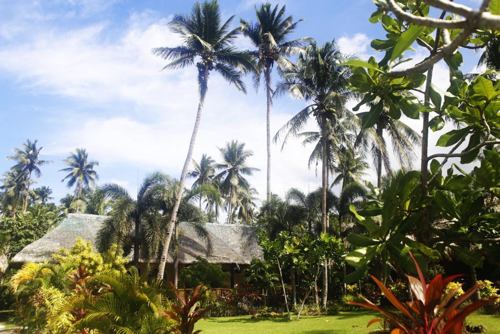 Vitton Resort Donsol Exterior foto